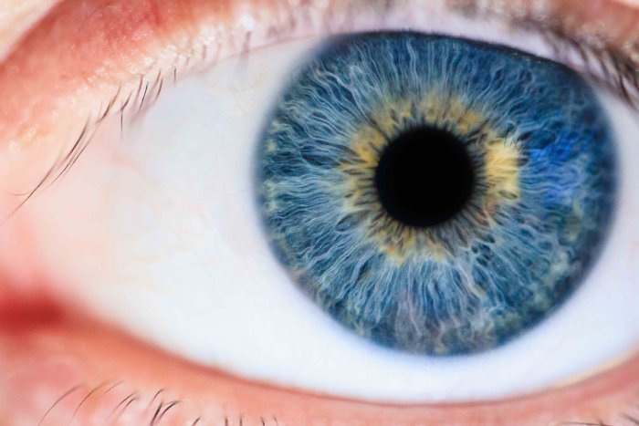 bewirbdich.ch - Augen auf im Berufsverkehr. 